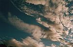 Aufziehende Cumuluswolke